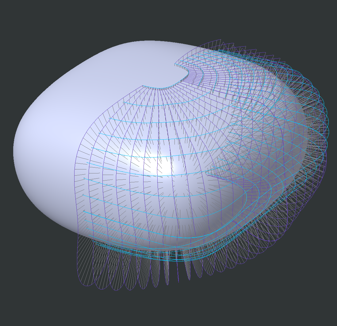 head_concept2_curvature.png