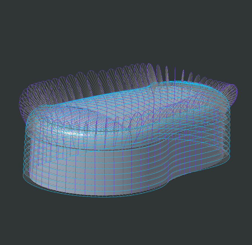 thigh_shell_curvature.png