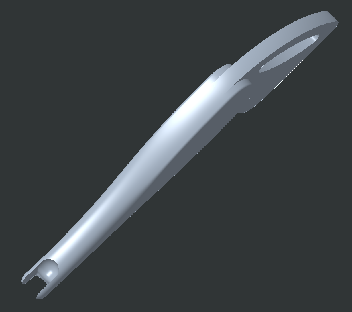 tarsus_04.png