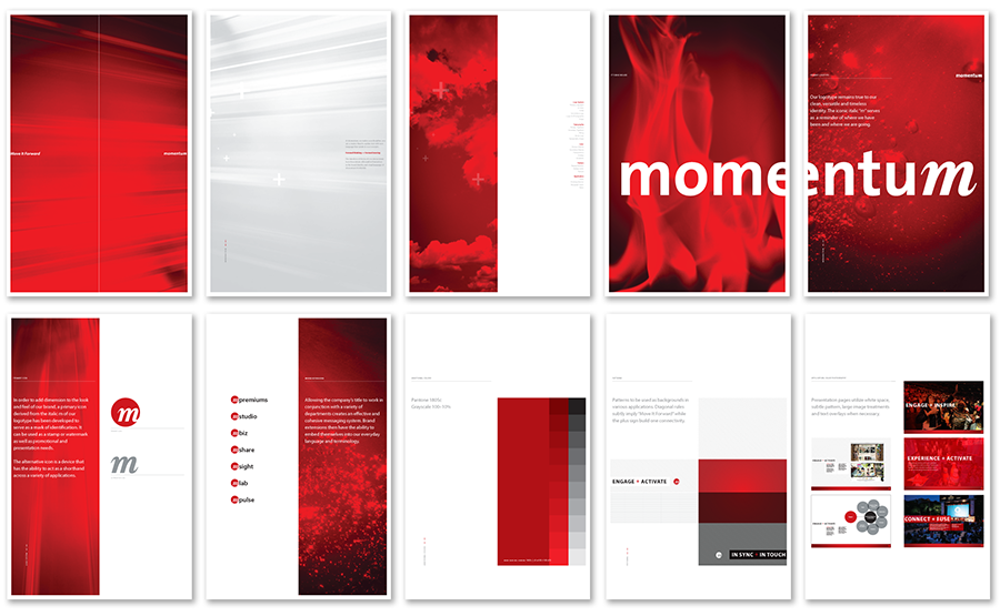 Momentum Worldwide Graphic Standards for one month.