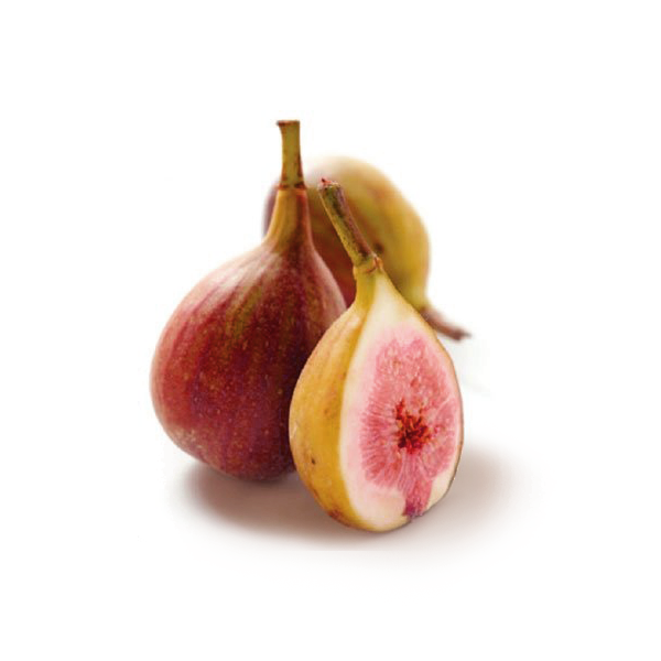 scottgericke_fig2.png
