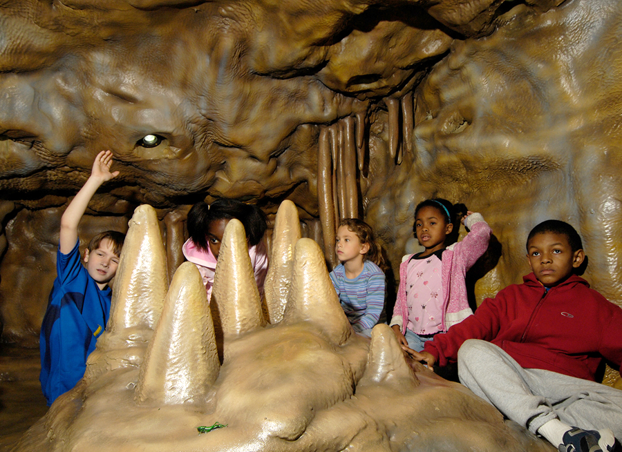  Missouri is home to over 6,000 caves so it was essential that we reconstruct a natural cave so students could climb on, seek and find plants and animals that live in these natural habitats. 