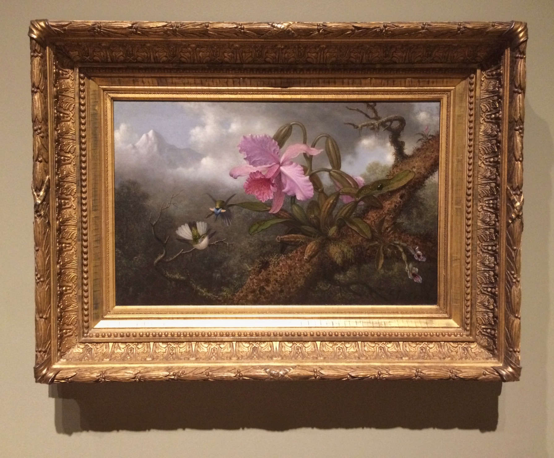 Martin Johnson Heade, Two Hummingbirds with an Orchid , 1875.