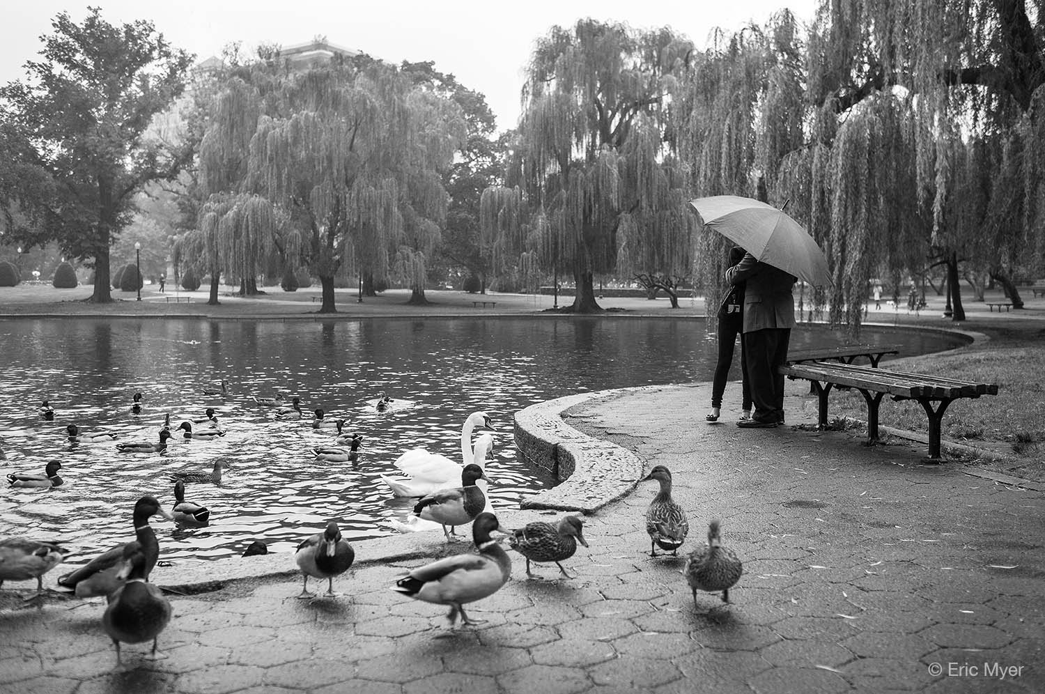 Boston Common