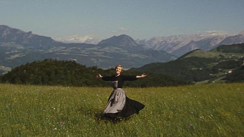 What the Naturespace people probably see everyday. Still from The Sound of Music. All rights reserved to 20th Century Fox. Please don't sue me. ¯\_(ツ)_/¯