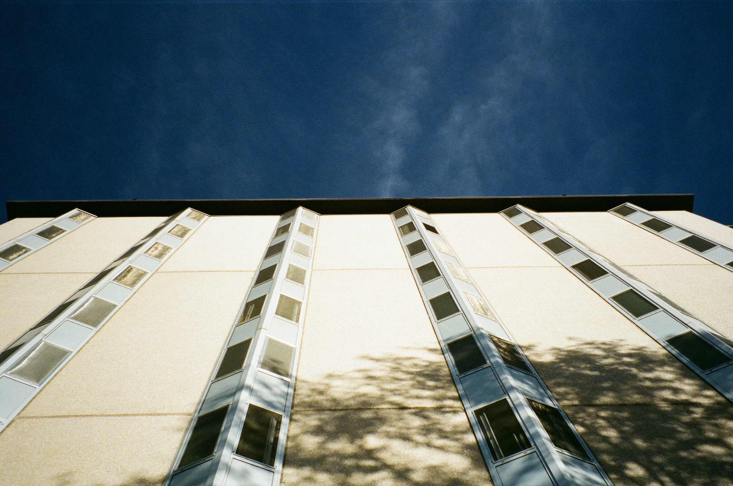 Fuji Superia 800