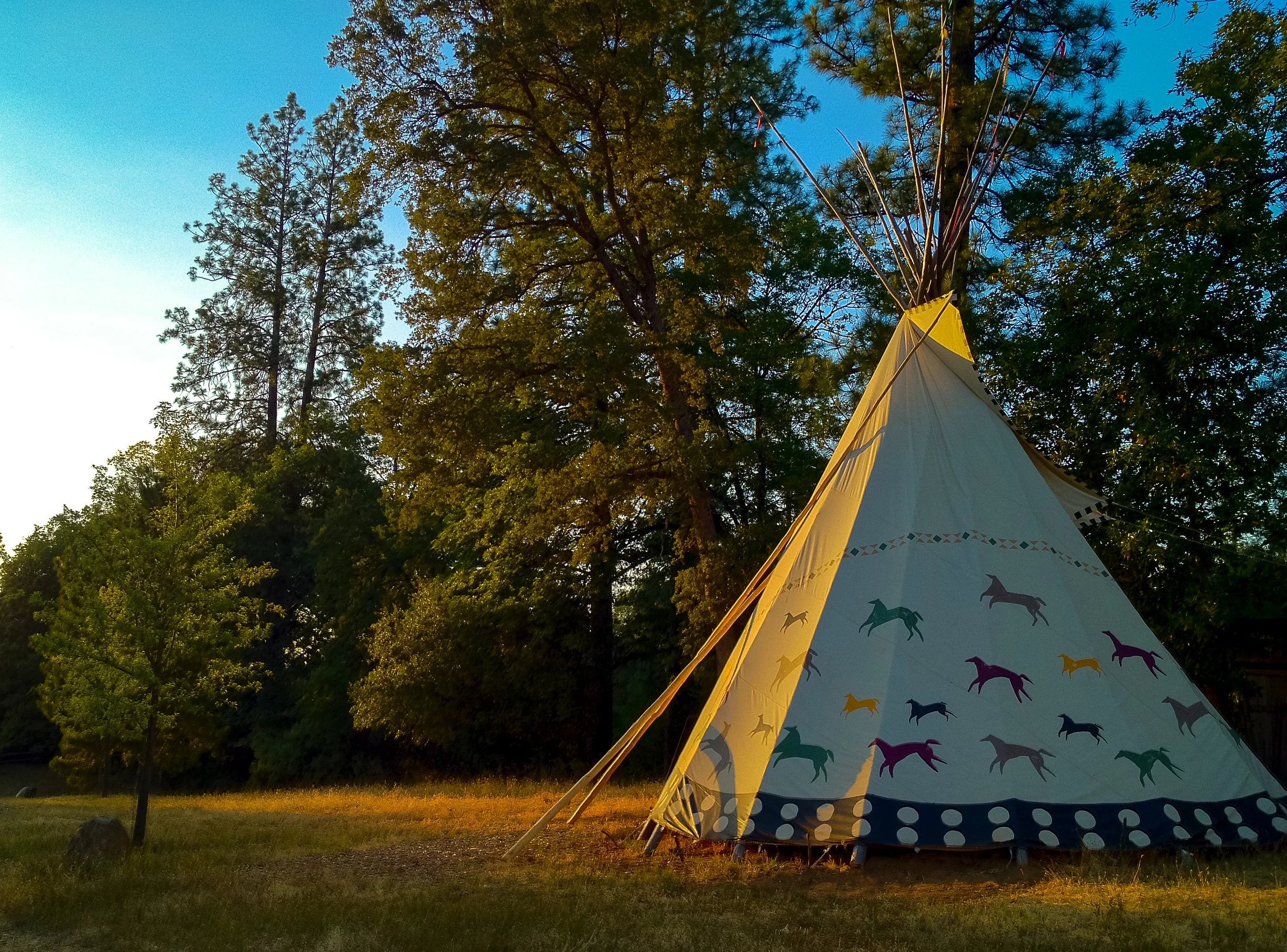 Roughing It
