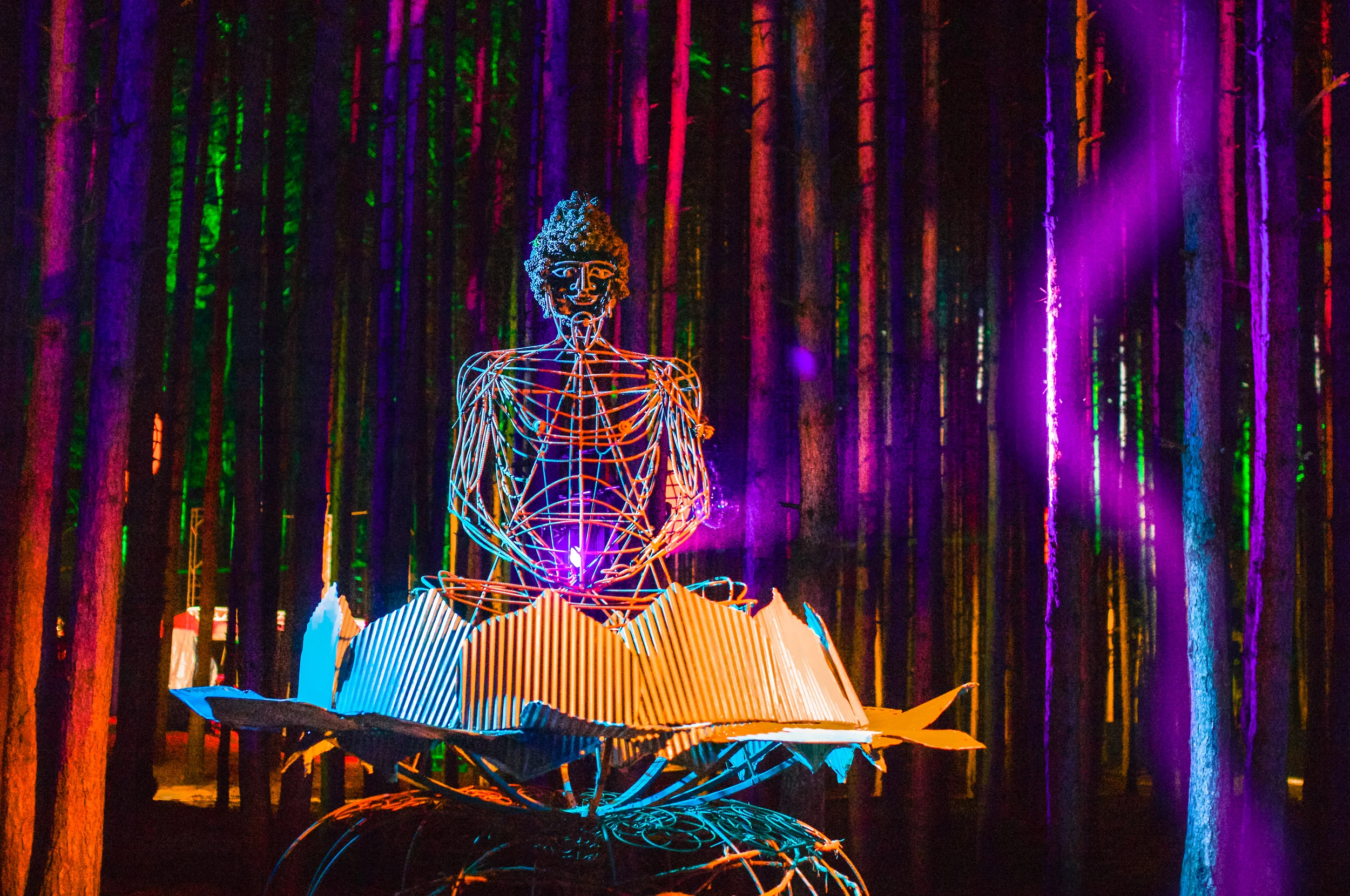 Forest Meditation
