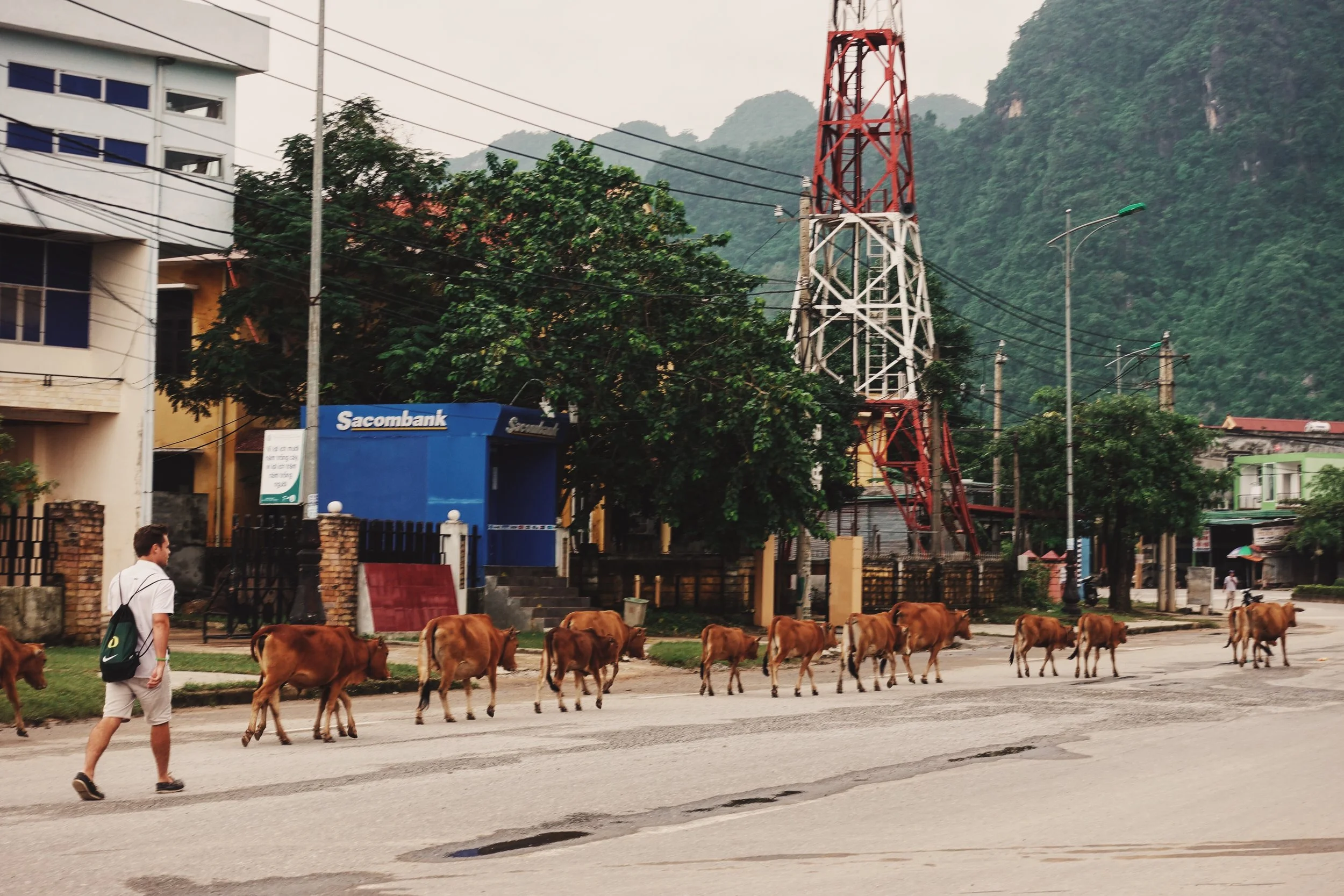 Rush Hour