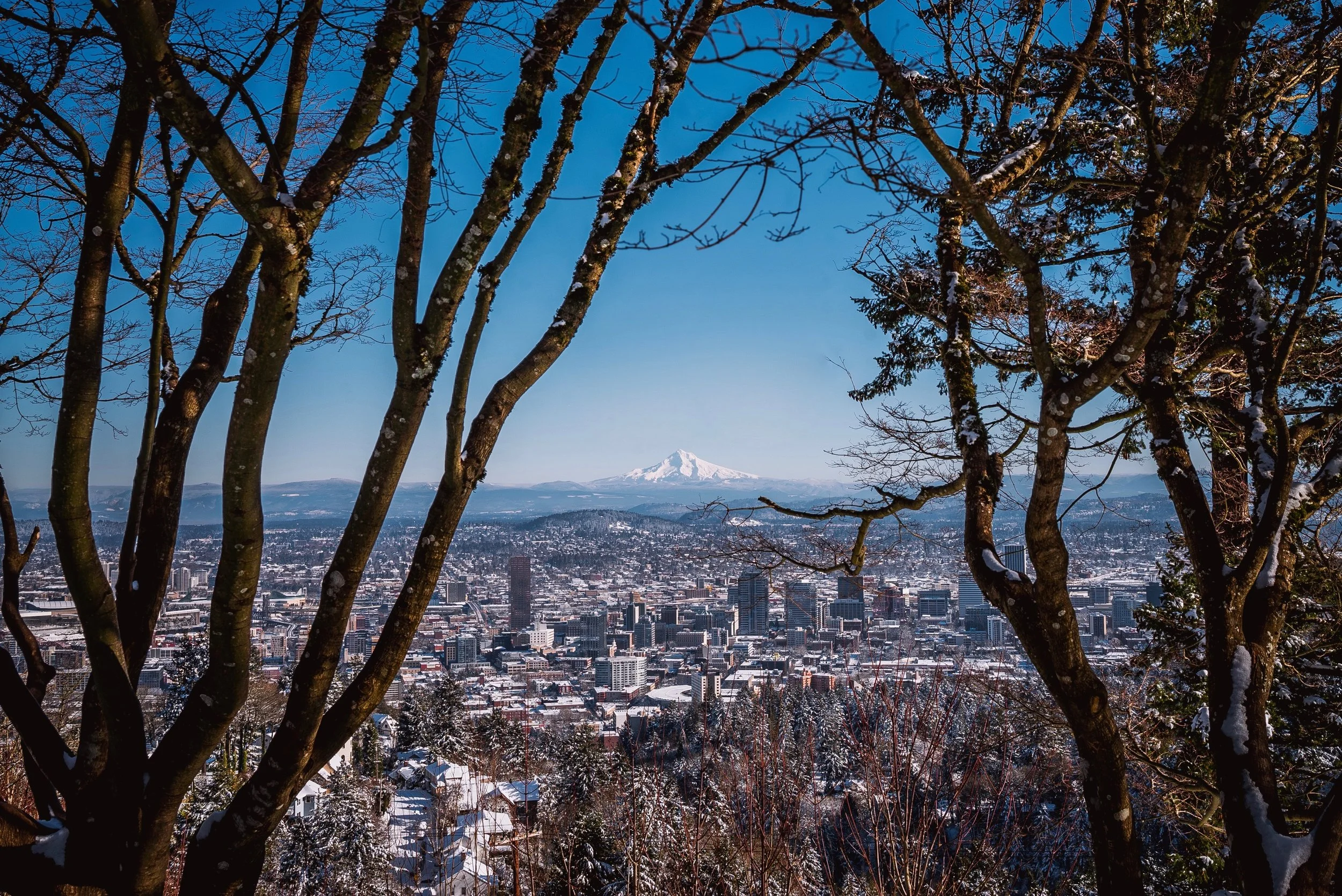 Window To Portland