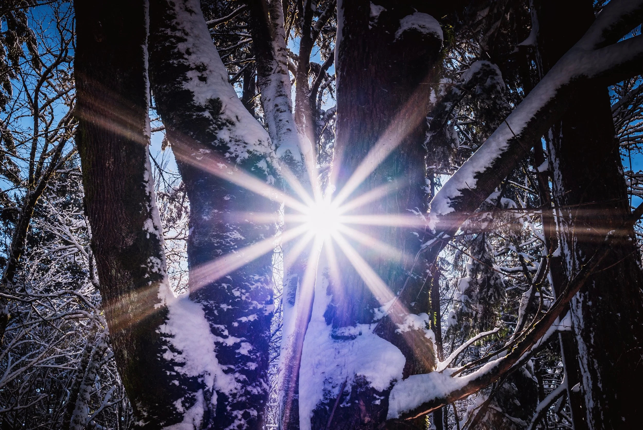 Shine A Light