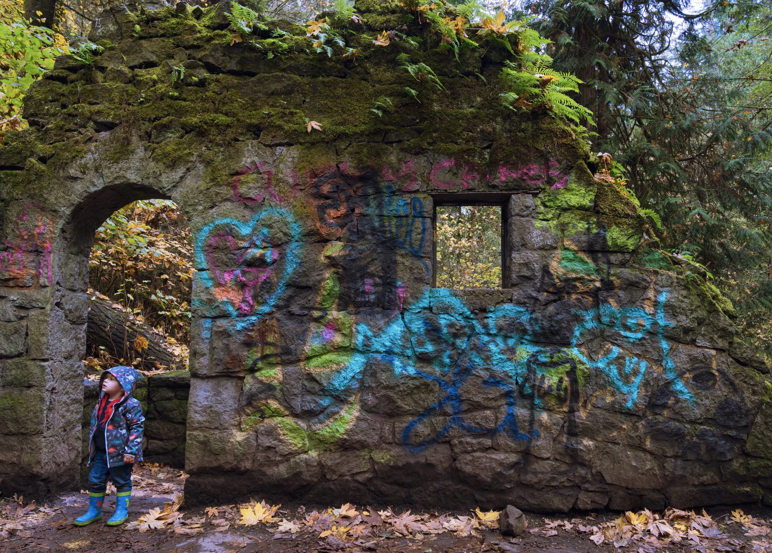DSC08314.jpg
