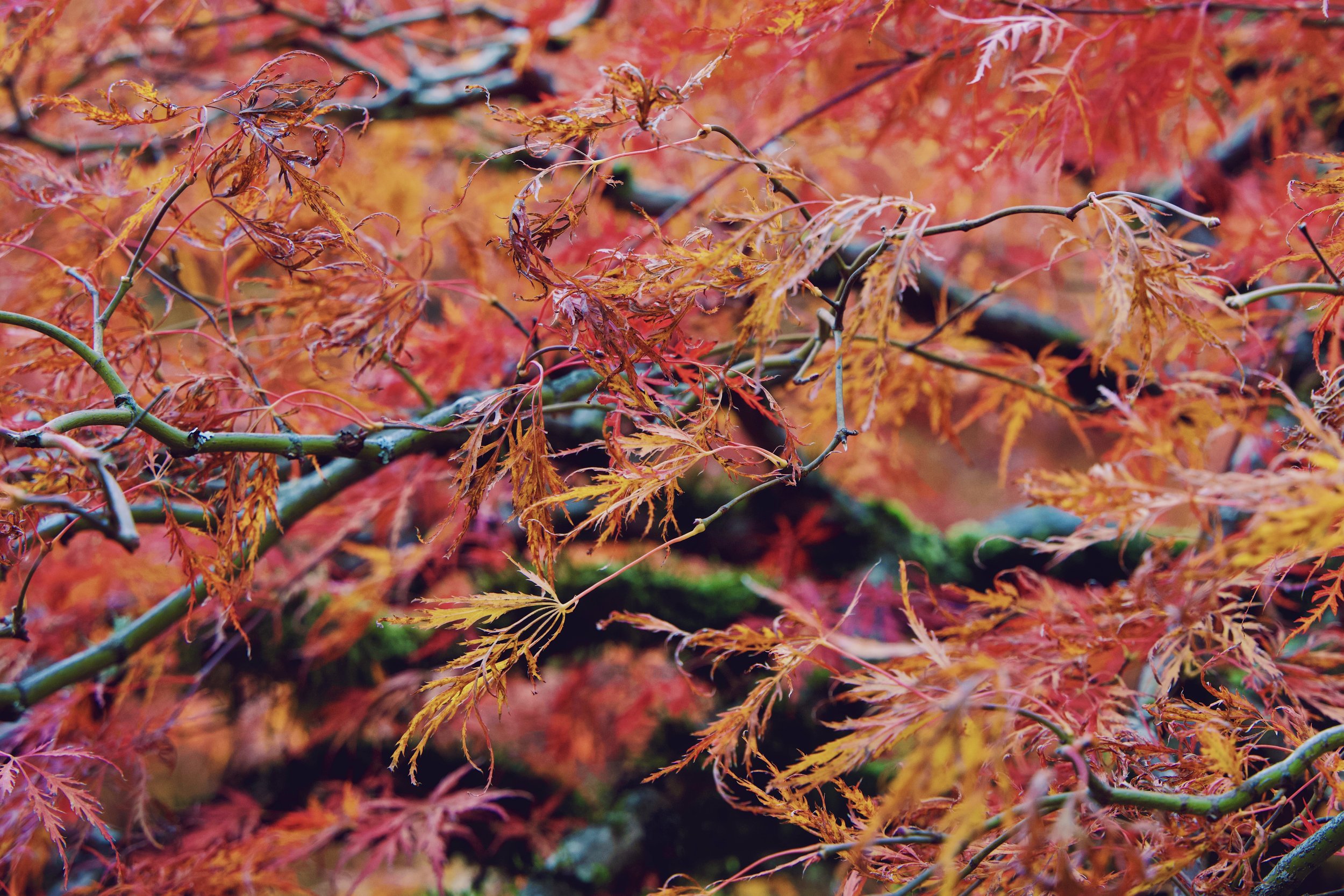  Processed with VSCO with s5 preset 