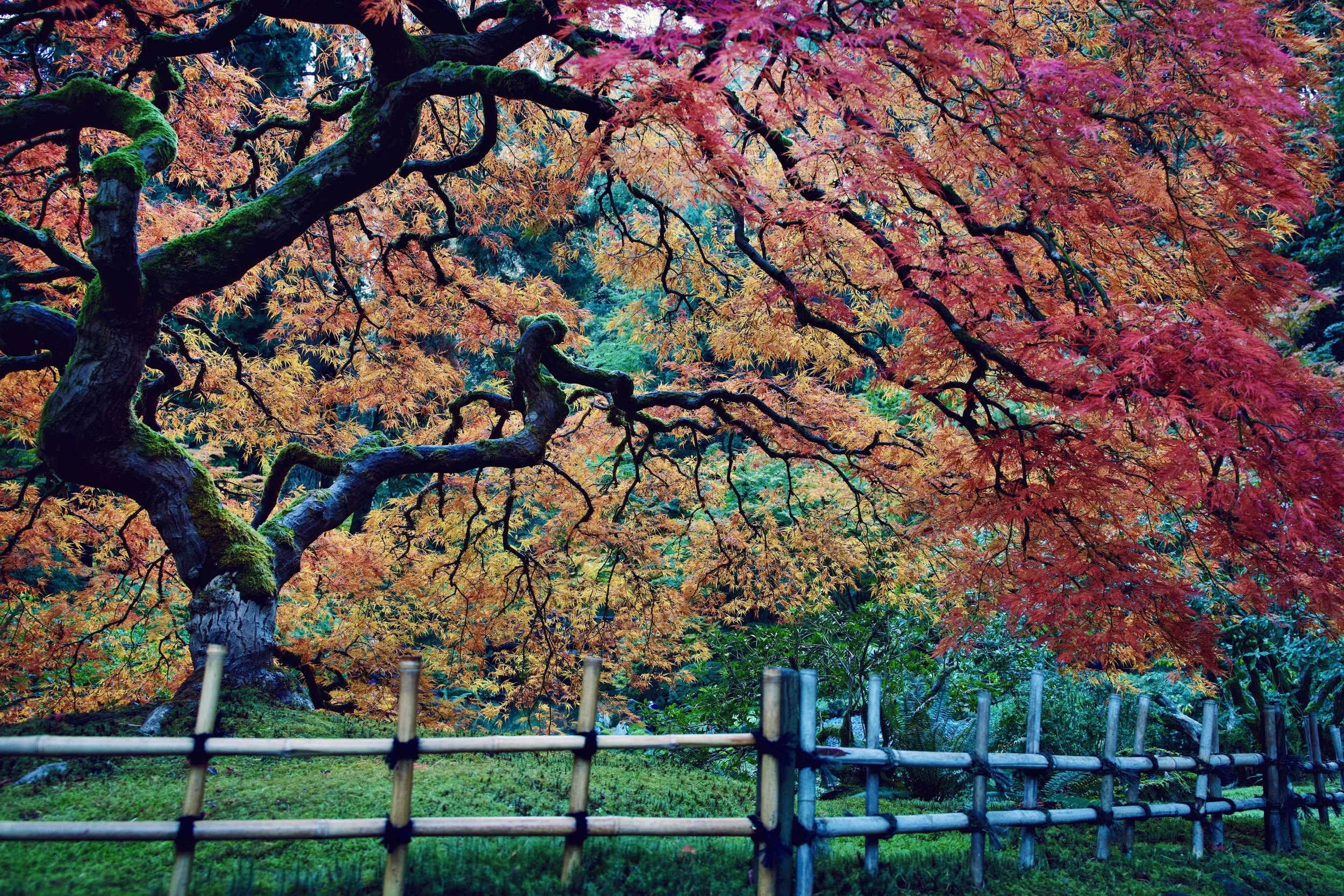  Processed with VSCO with s5 preset 