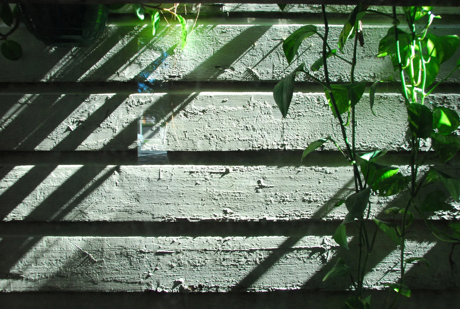 20140616-©CFJ_Vallance House-60 LR.jpg
