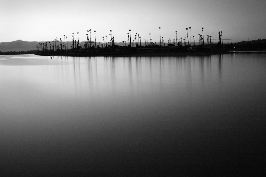 palms at mission bay