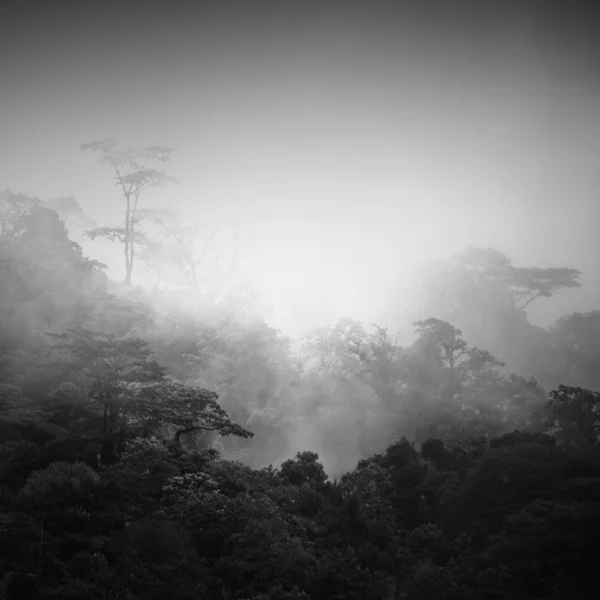 volcan arenal in fog