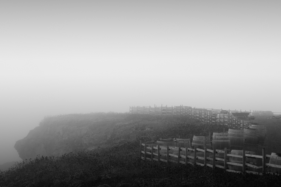 wine barrel fence by the sea 1