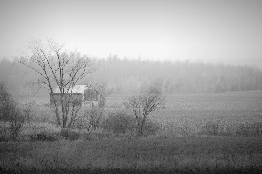 barn in rain