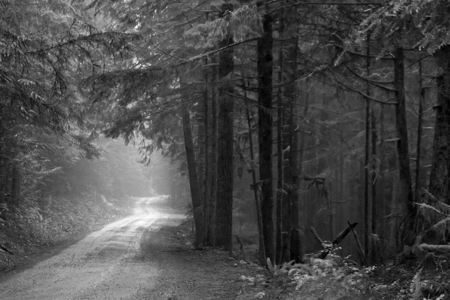 road to nooksack falls