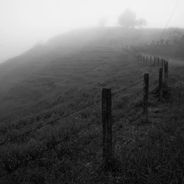 costa rican farmland 5