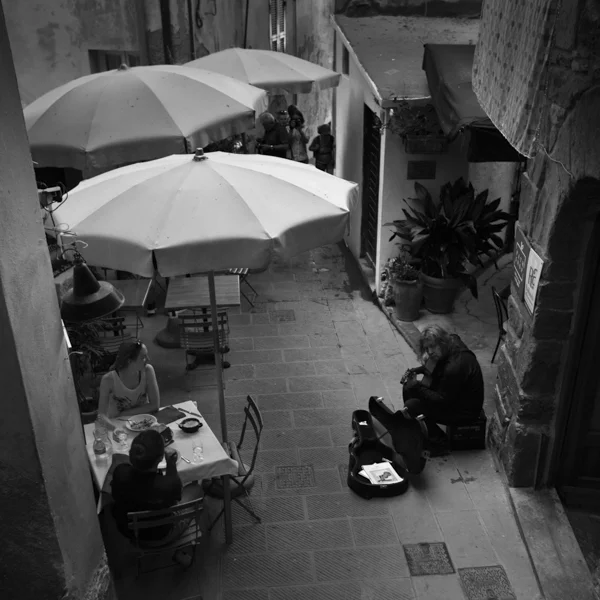 serenade in vernazza