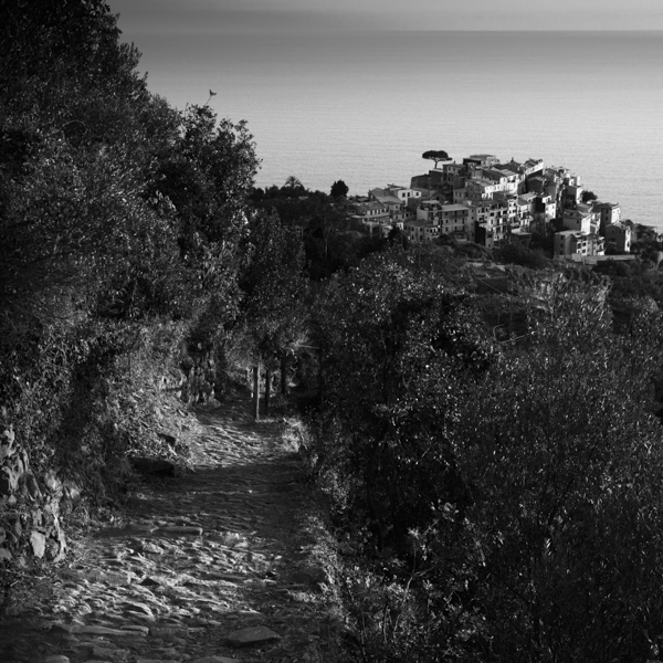 road to corniglia i