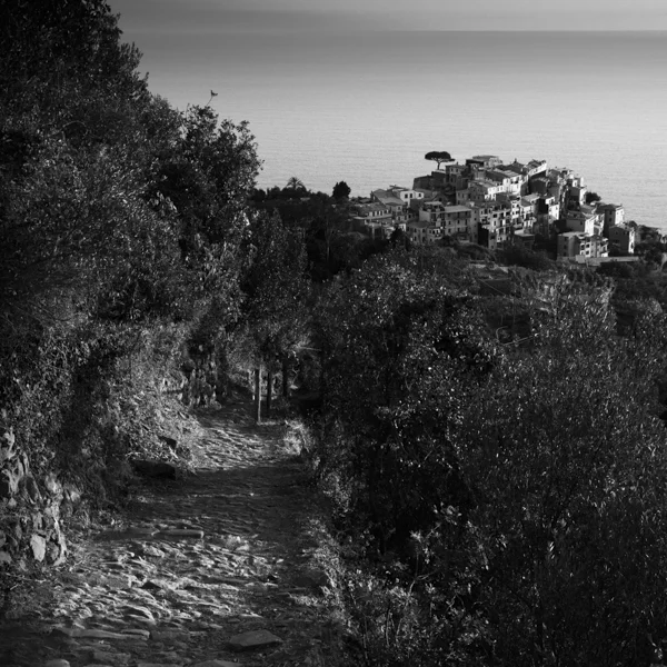 road to corniglia i