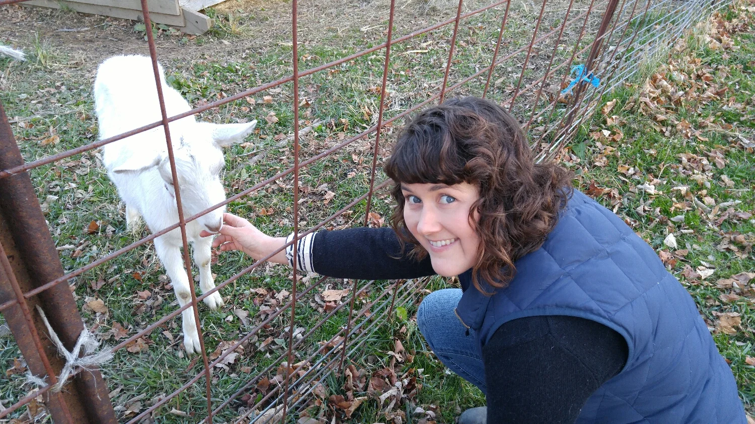 Rainbow loves the attention but don't let that fool you-- she's probably about to try something!