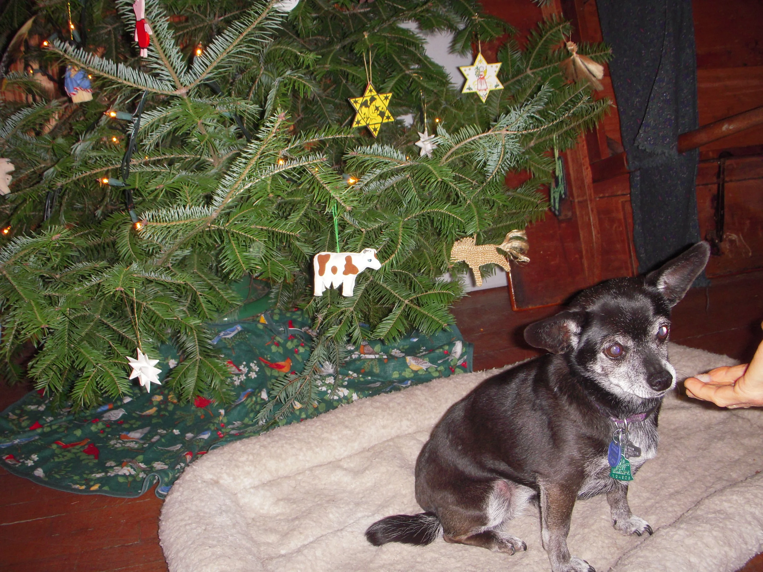 Web registration update