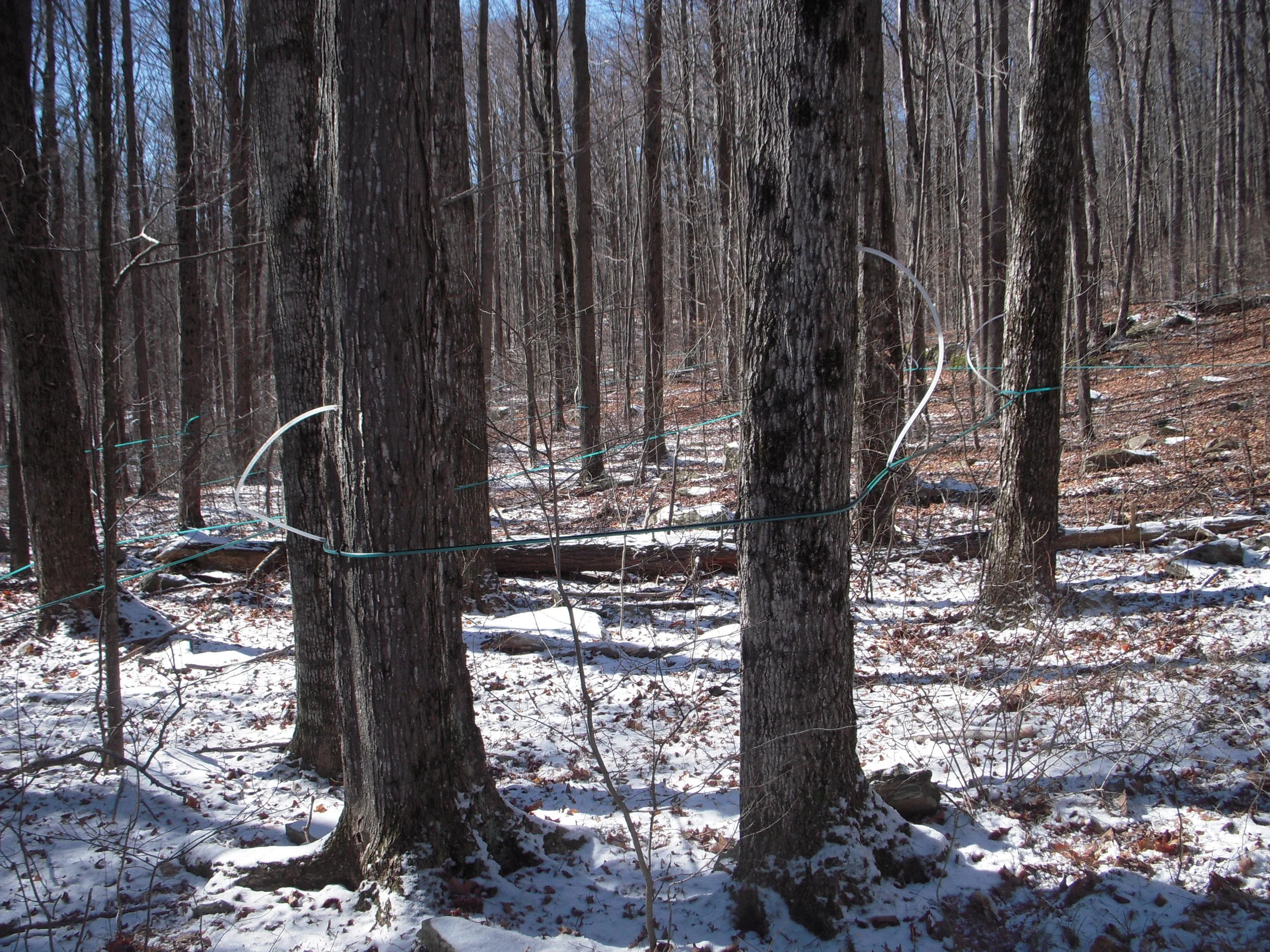 Tapping - It's Happening.