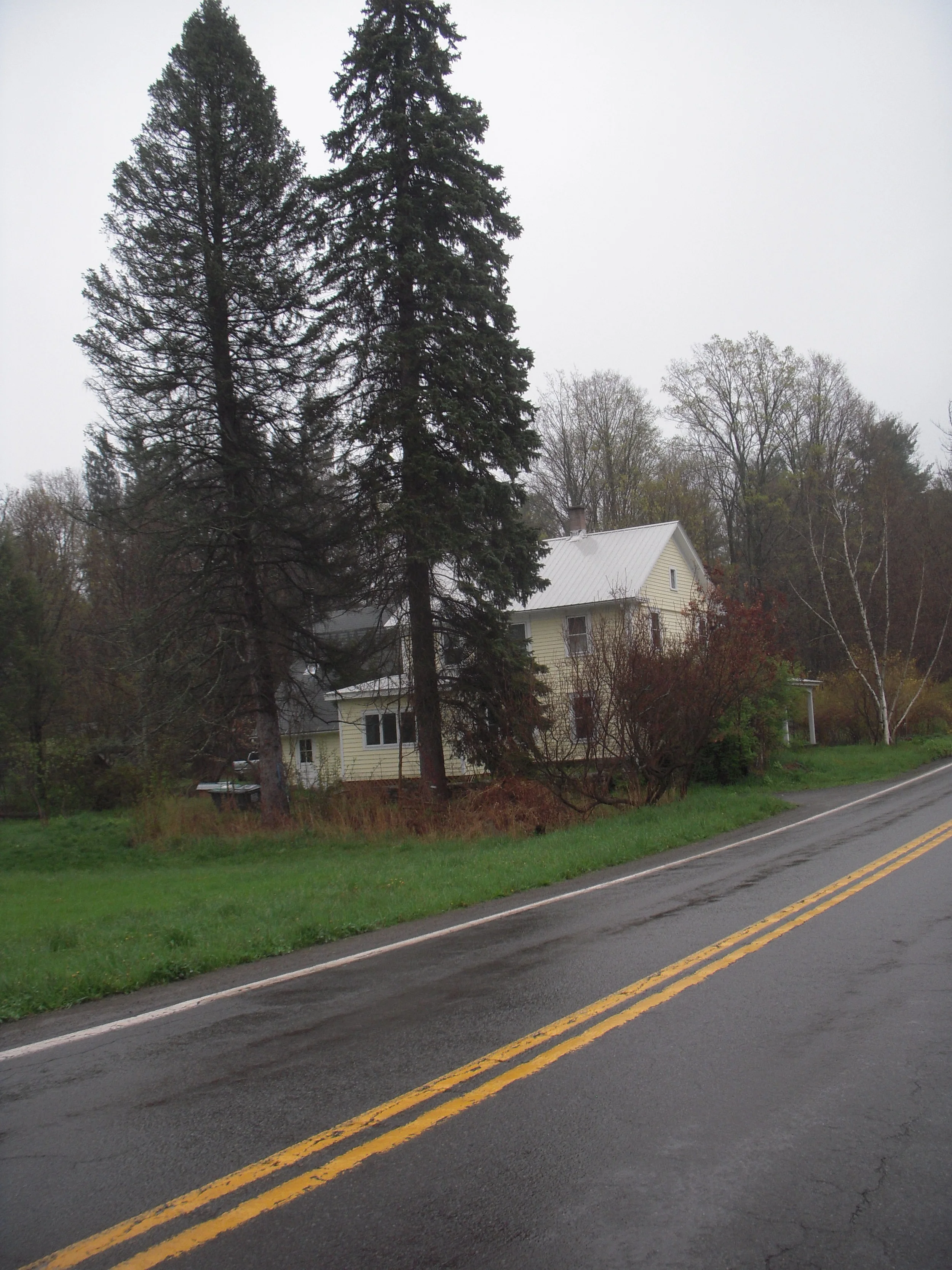 We've Been Sprucing Up