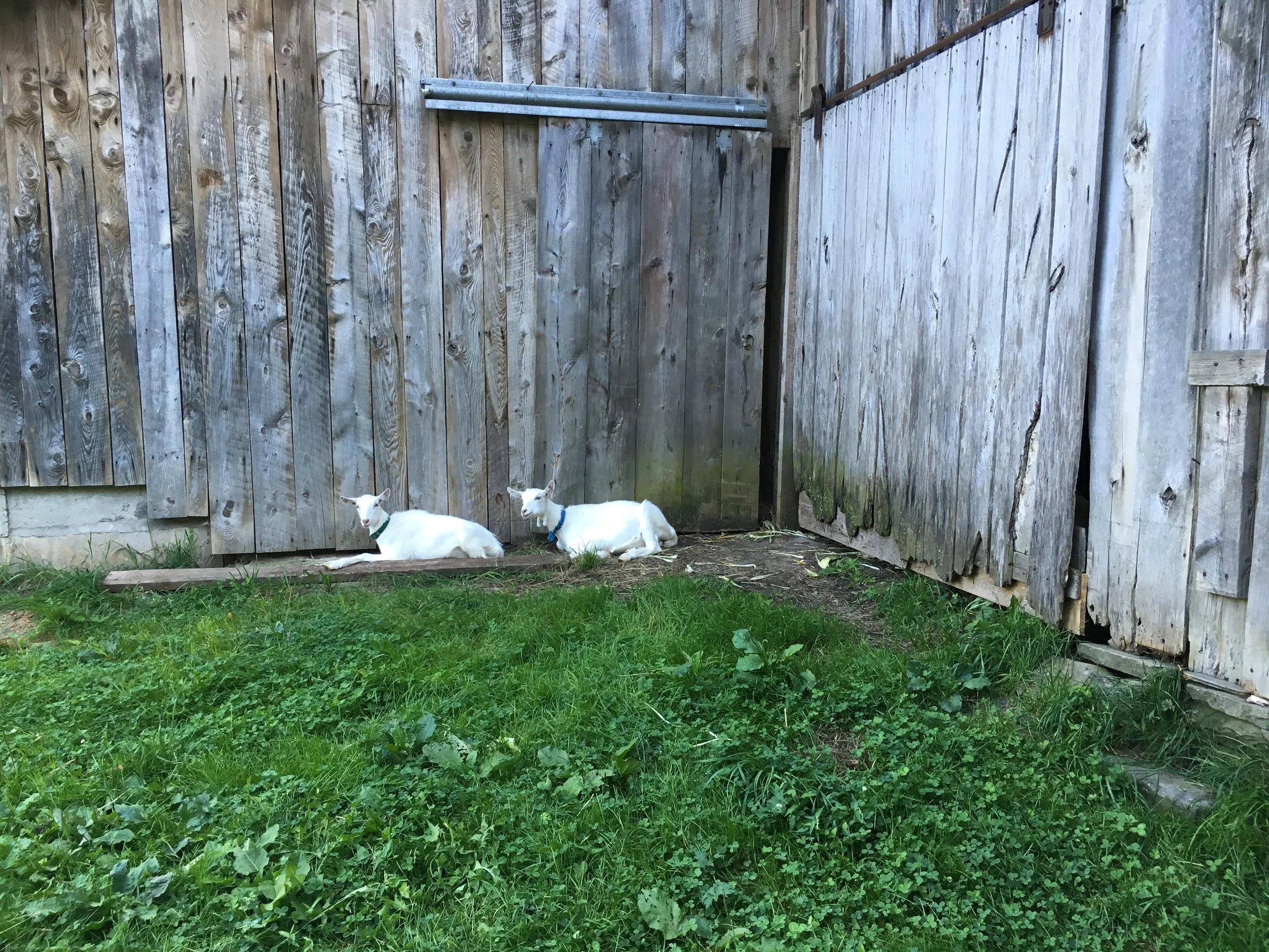 Fall 2016 Workday #1