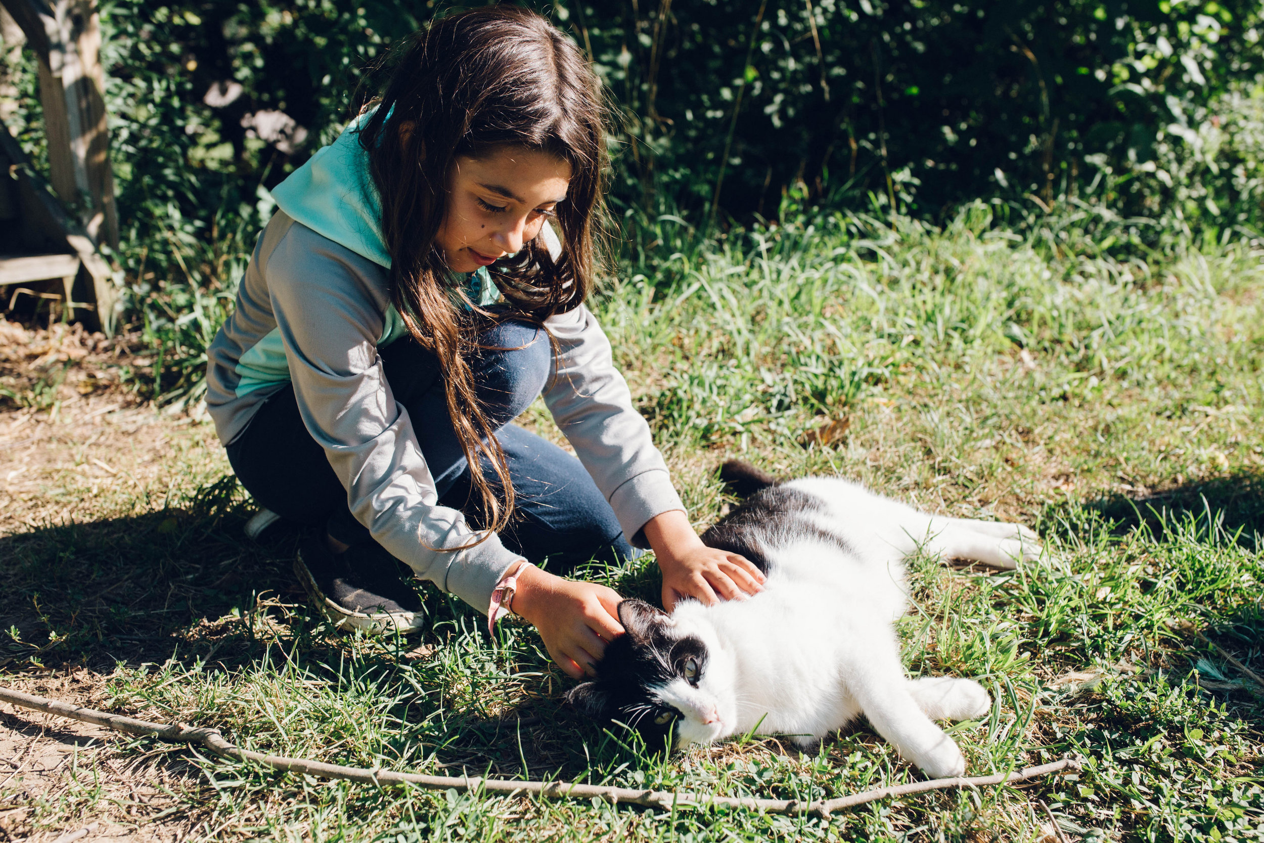 Journey's End Farm Camp 2015