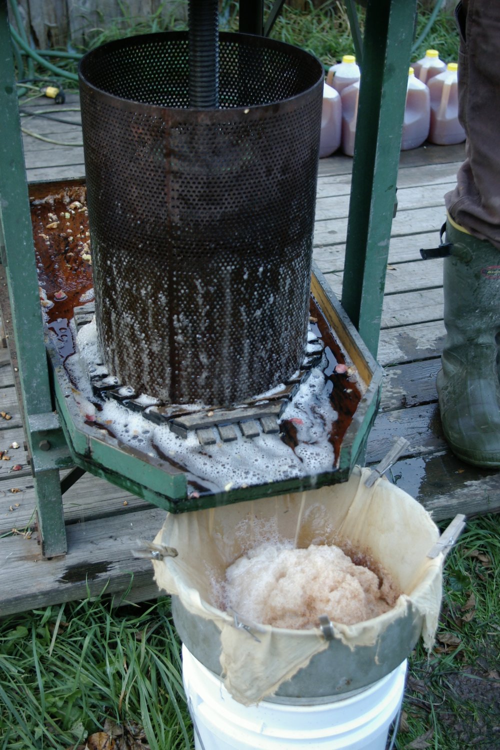  The ground apples being pressed into cider 