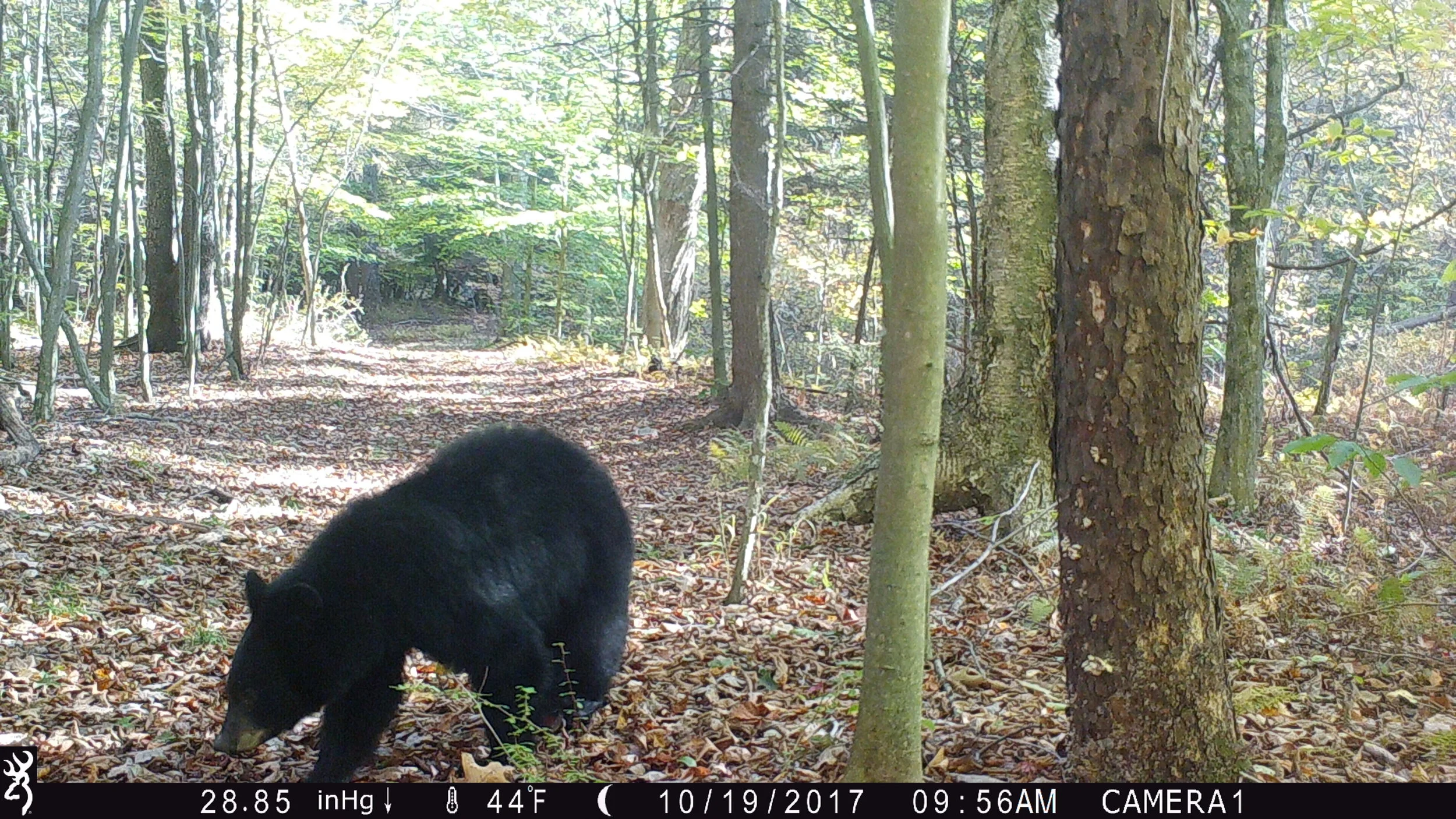 When We Aren't Around...