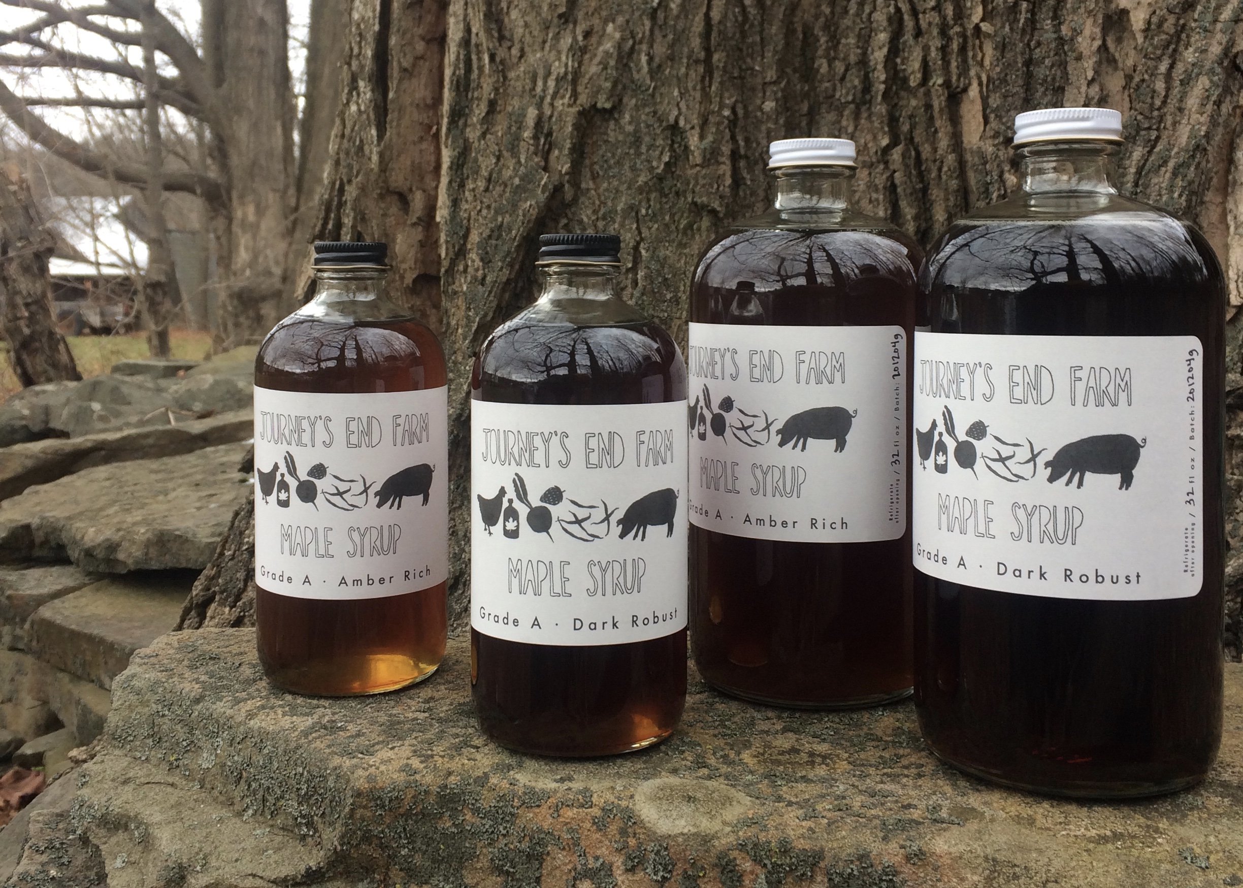 North American Maple Tour - Fall in LOVE with Maple