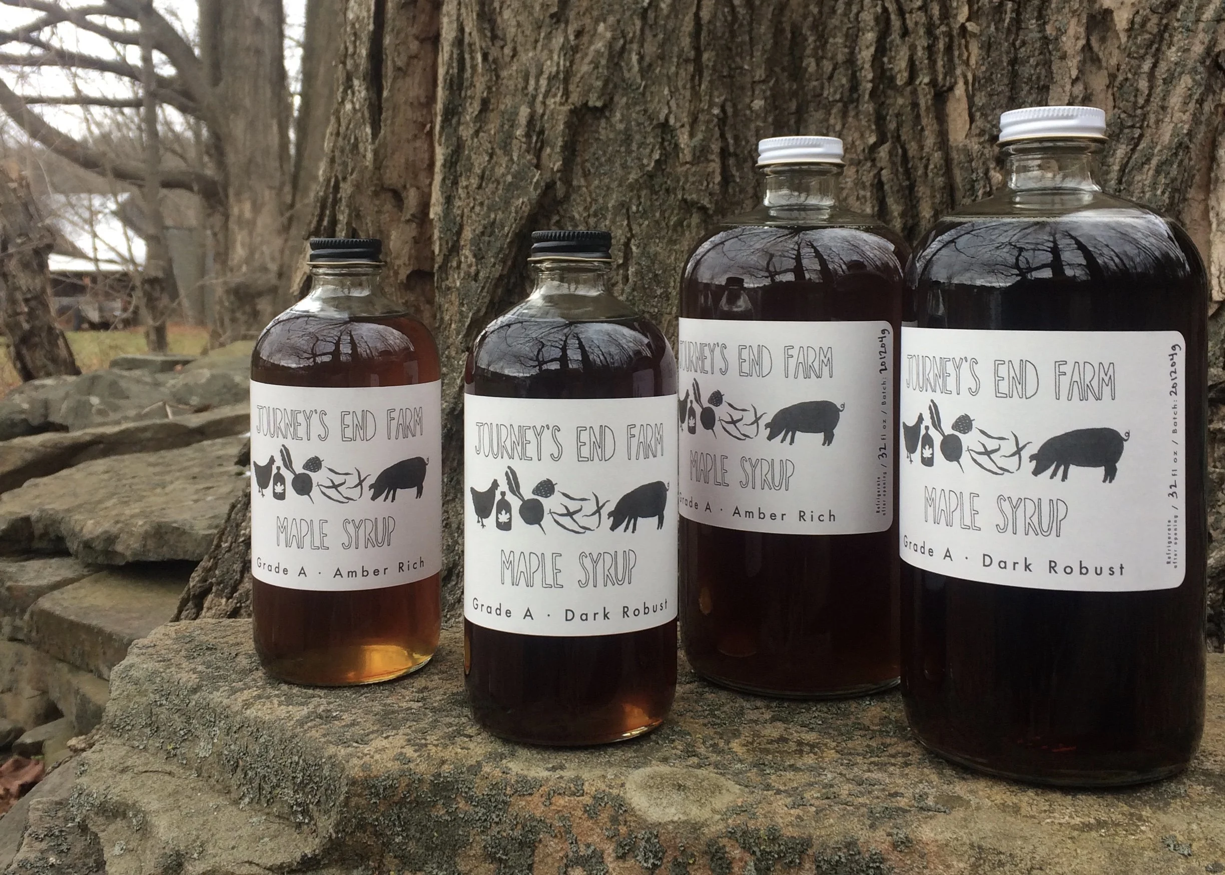 North American Maple Tour - Fall in LOVE with Maple