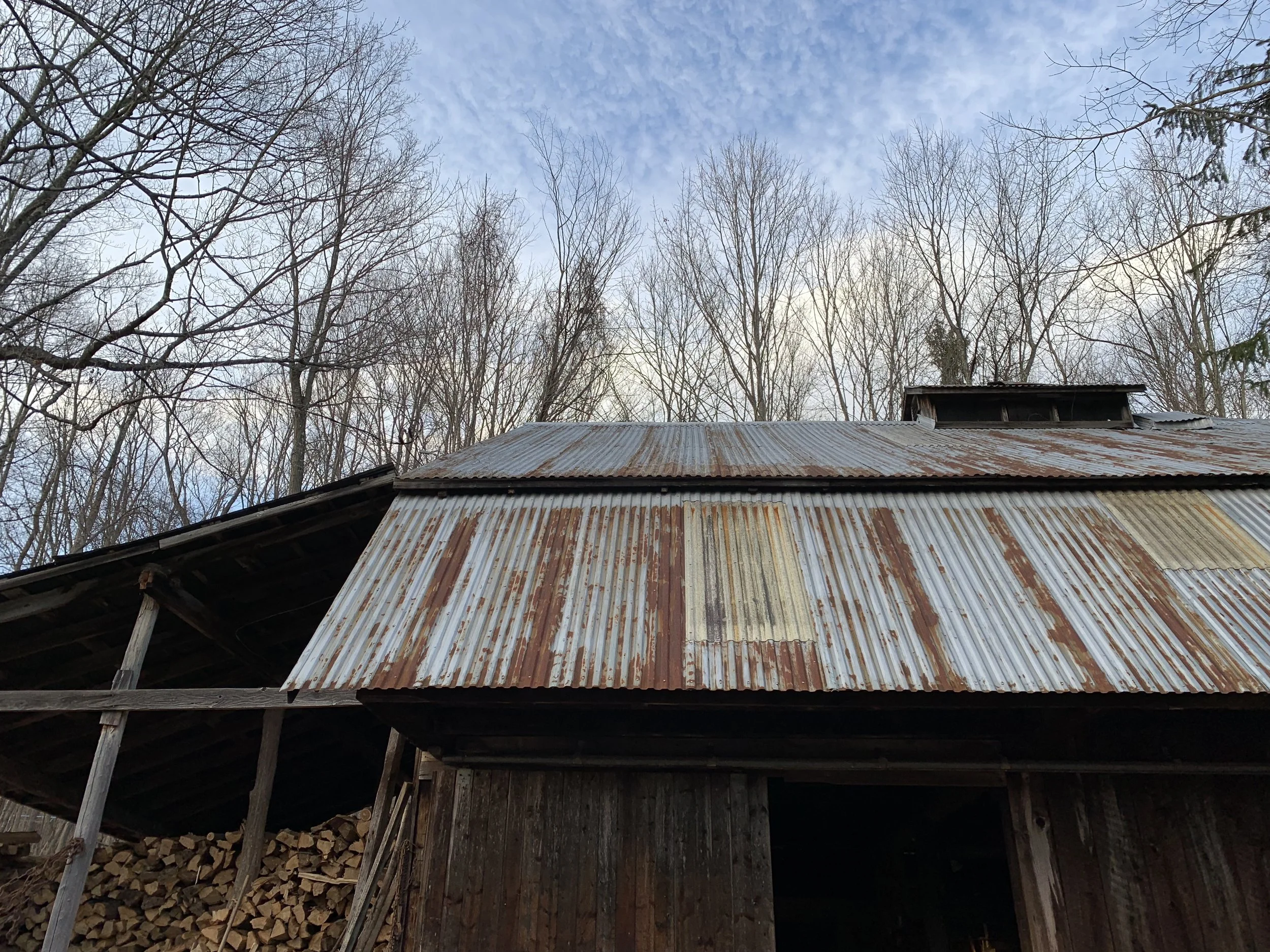 Self-Guided Maple Tour