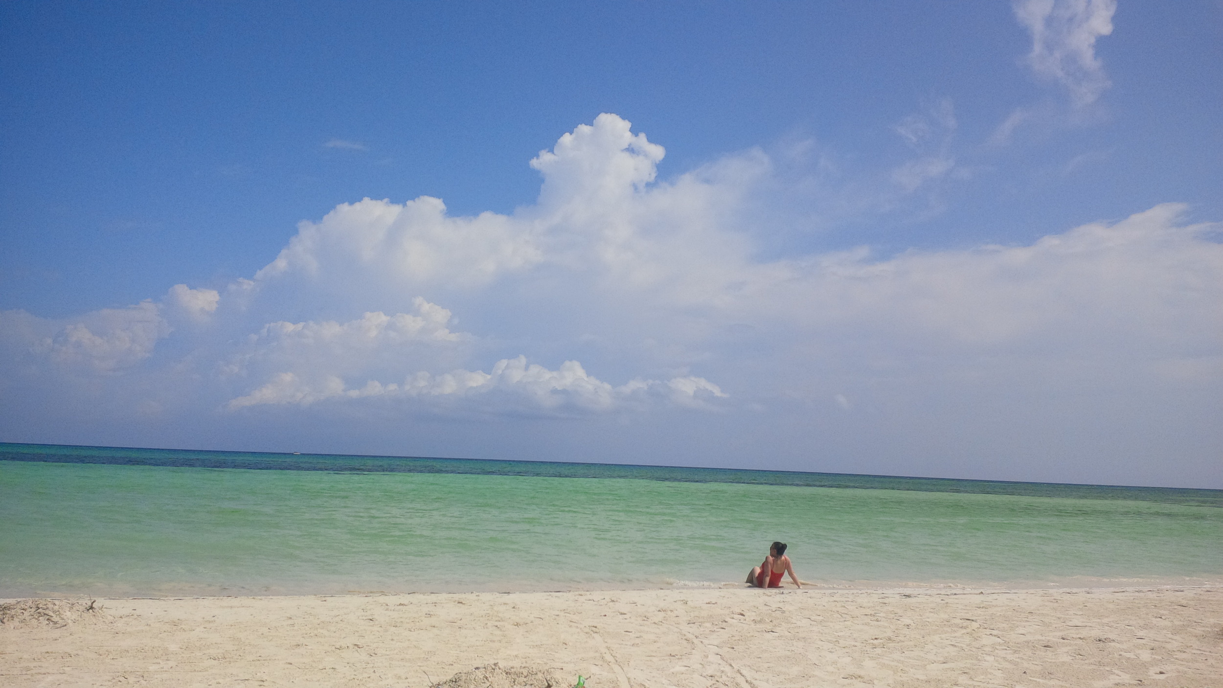 Diane and the ocean.jpg