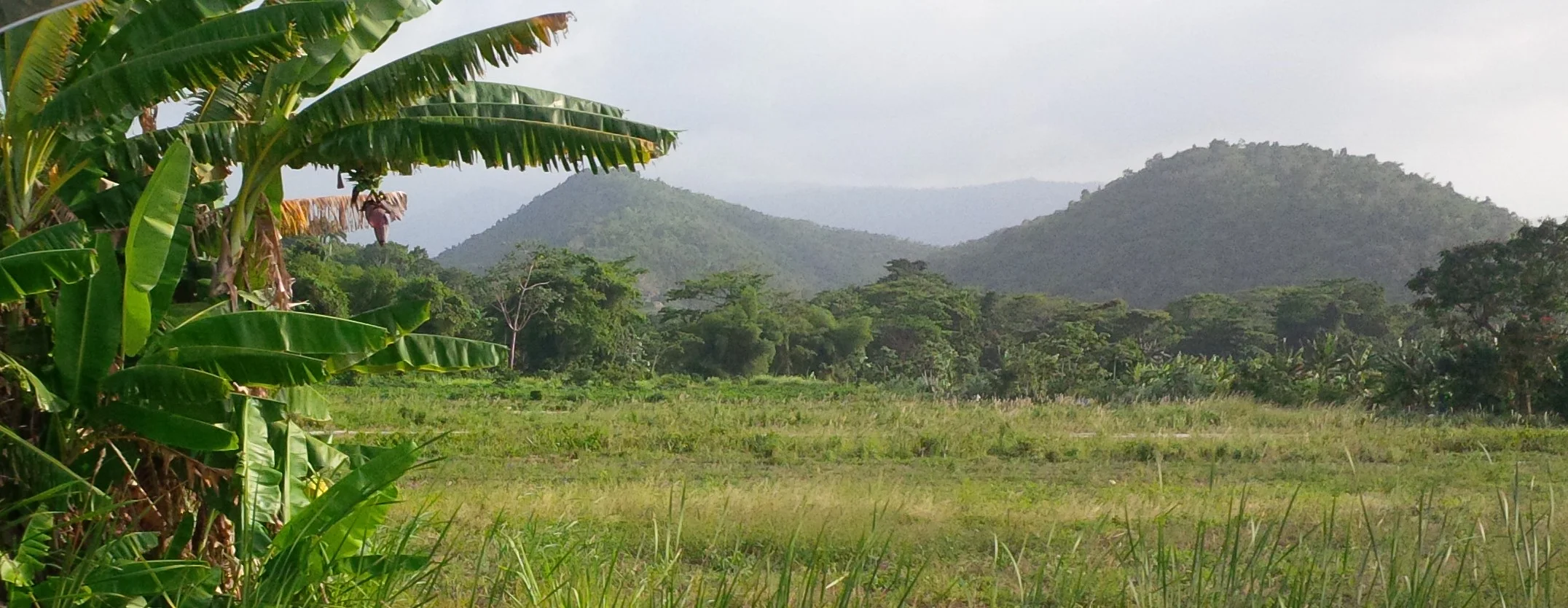 My First Impressions of Jamaica