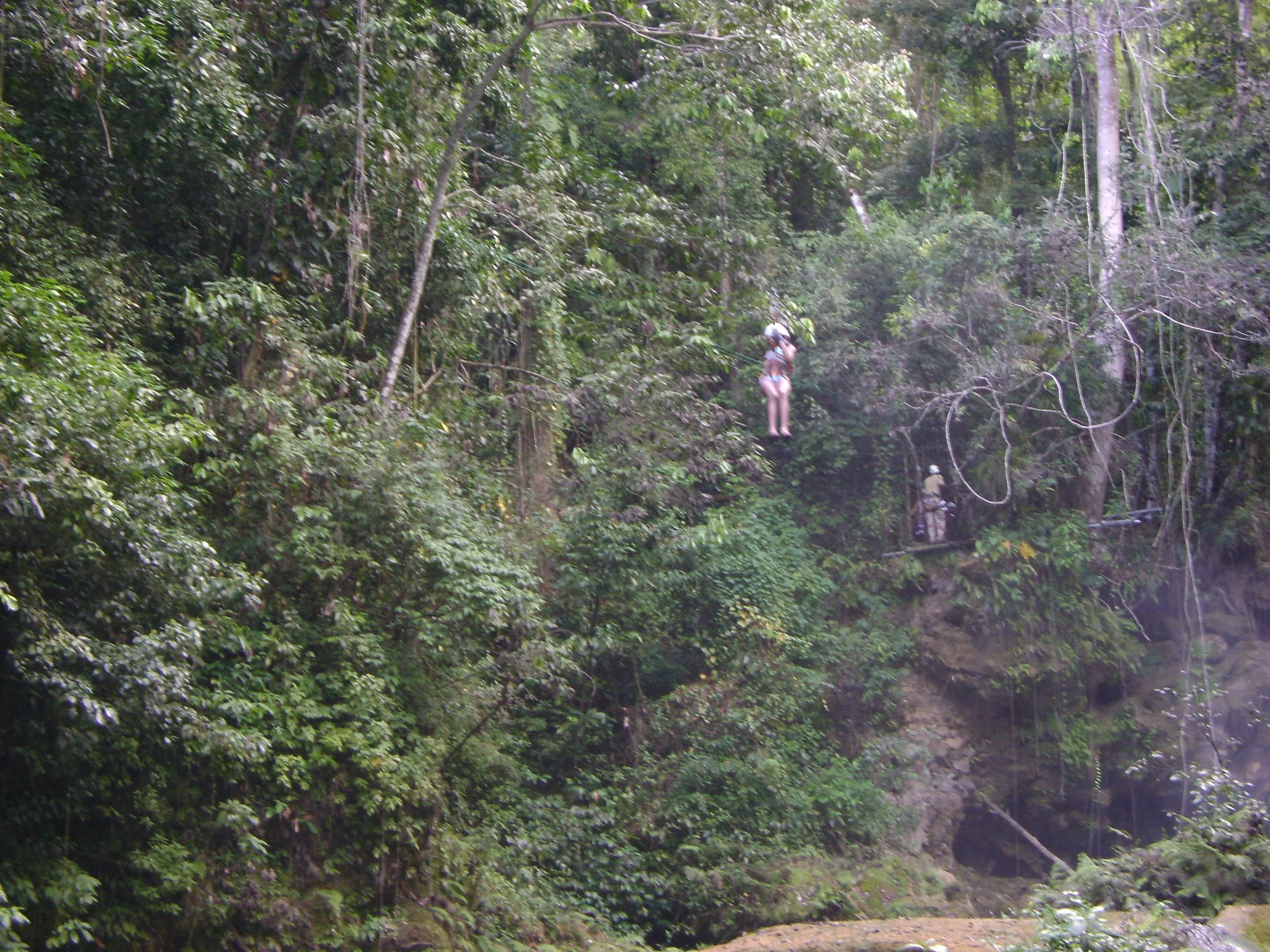 Ziplining at YS Falls
