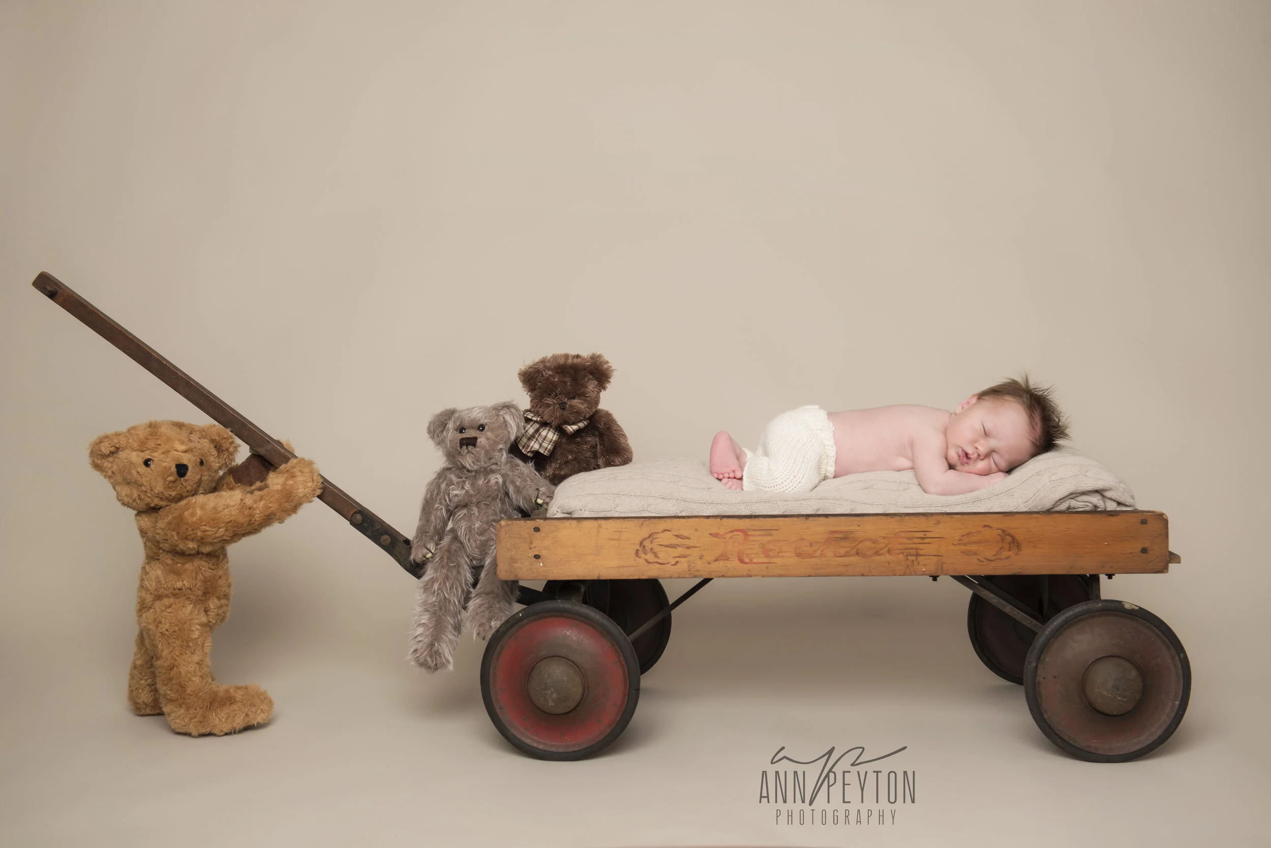 Max Frampton_DSC_0671.jpg