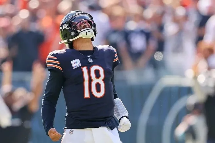 The Teams - Building the 2026 NFC North