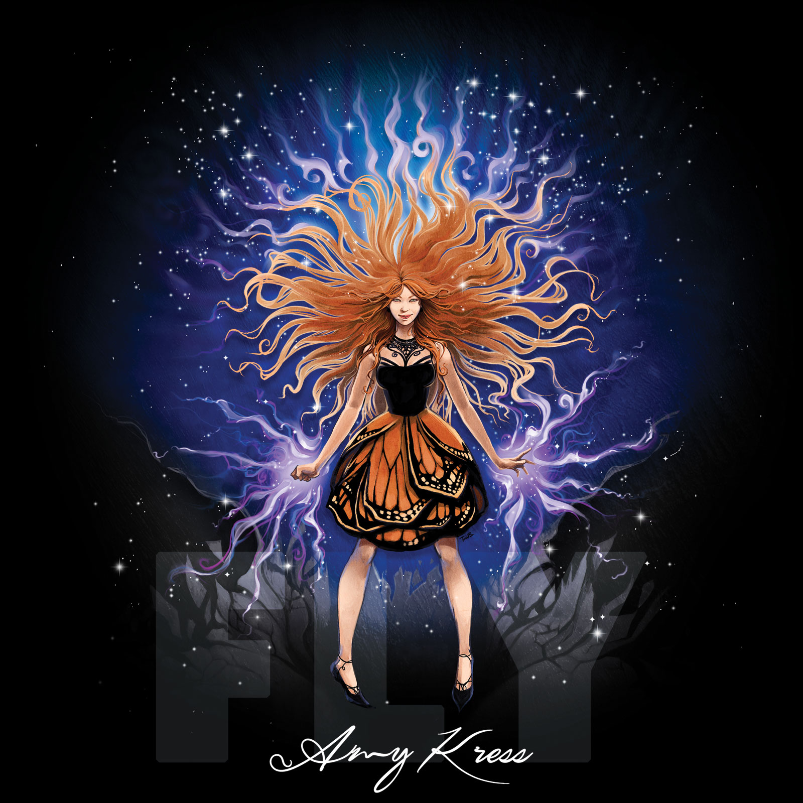 The album art from Amy Kress' Fly .