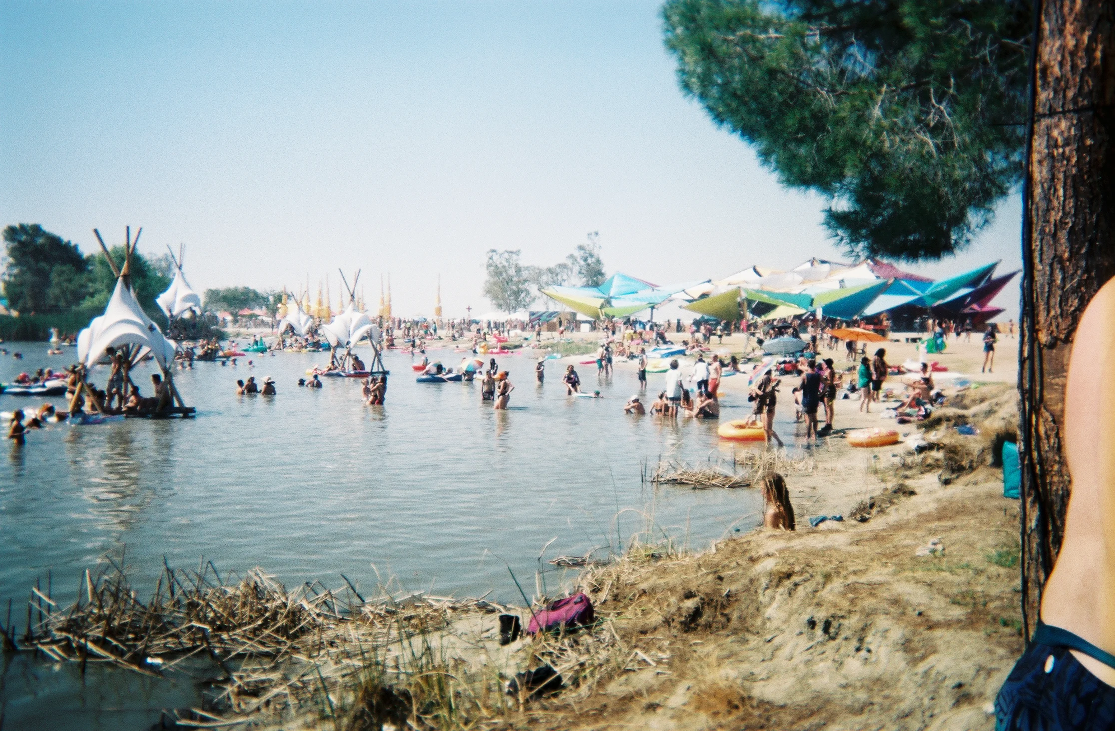 Lakeside at LIB. Photo Credit: Timothy Bailey