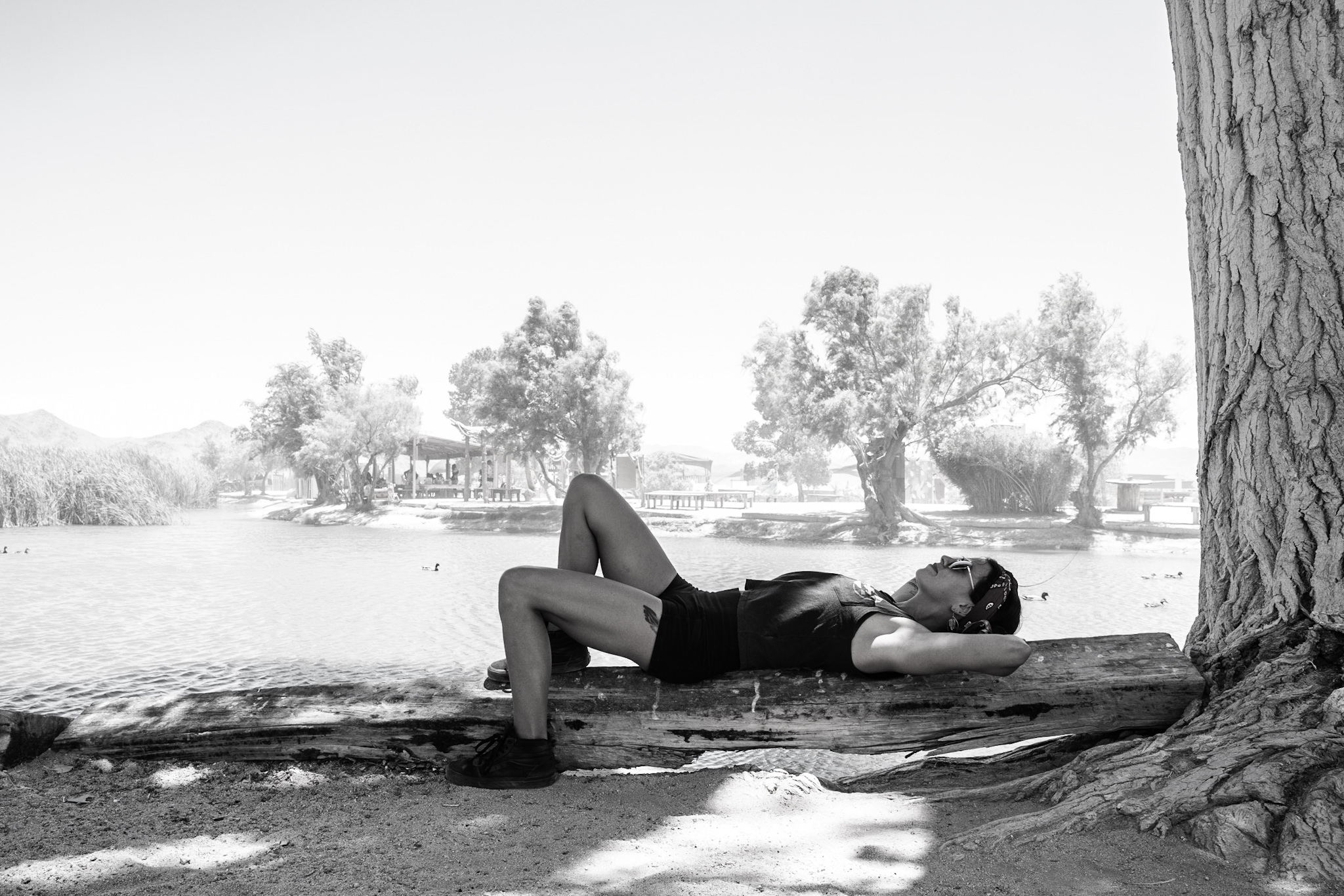 Life at Joshua Tree Music Festival.