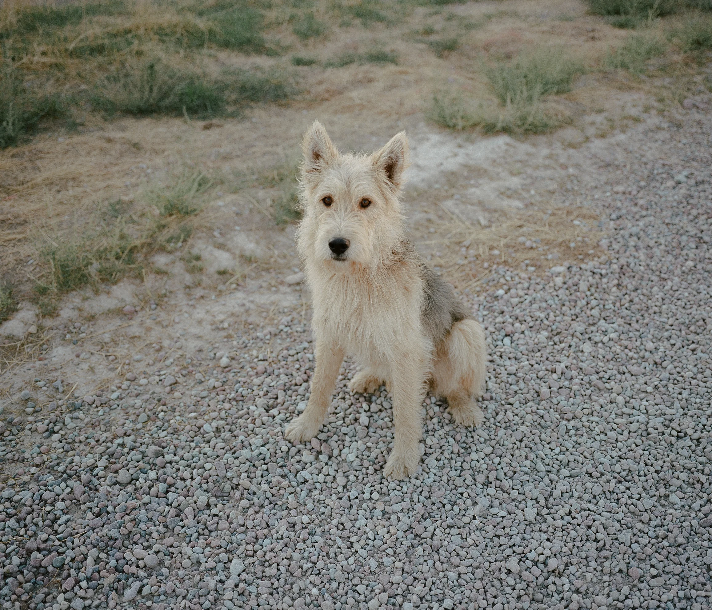©joshneff_OL-1-11.jpg