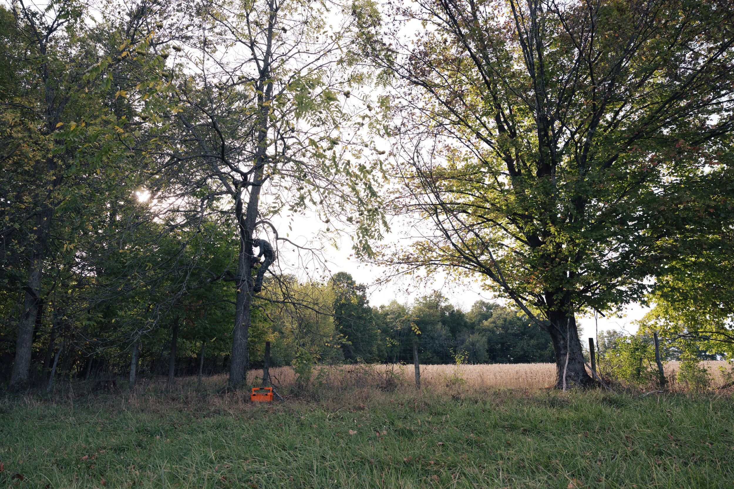 neff_oh-30.jpg