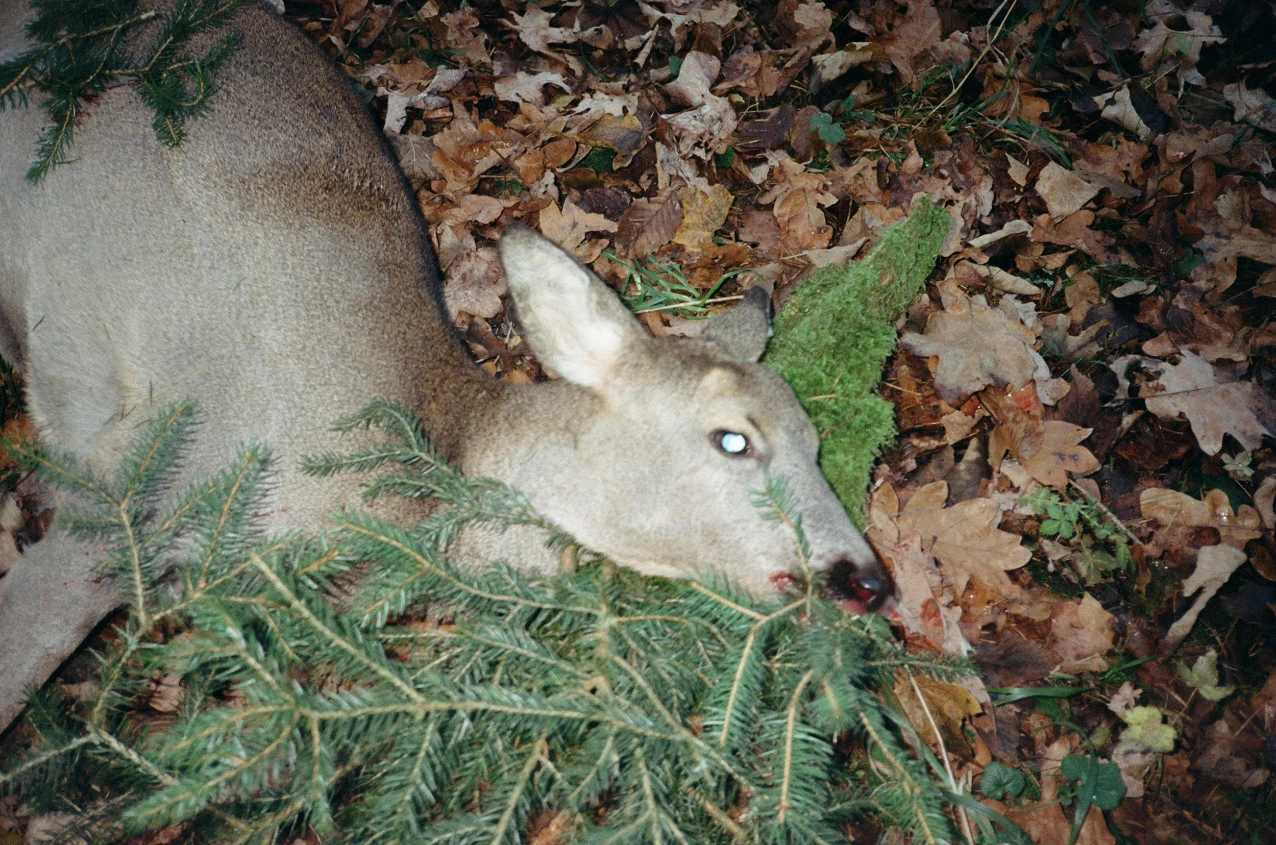 neff_35-9.jpg